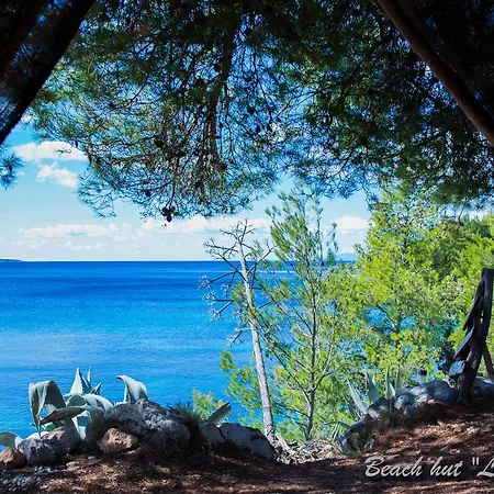 Cast Away - Eco * Zavala